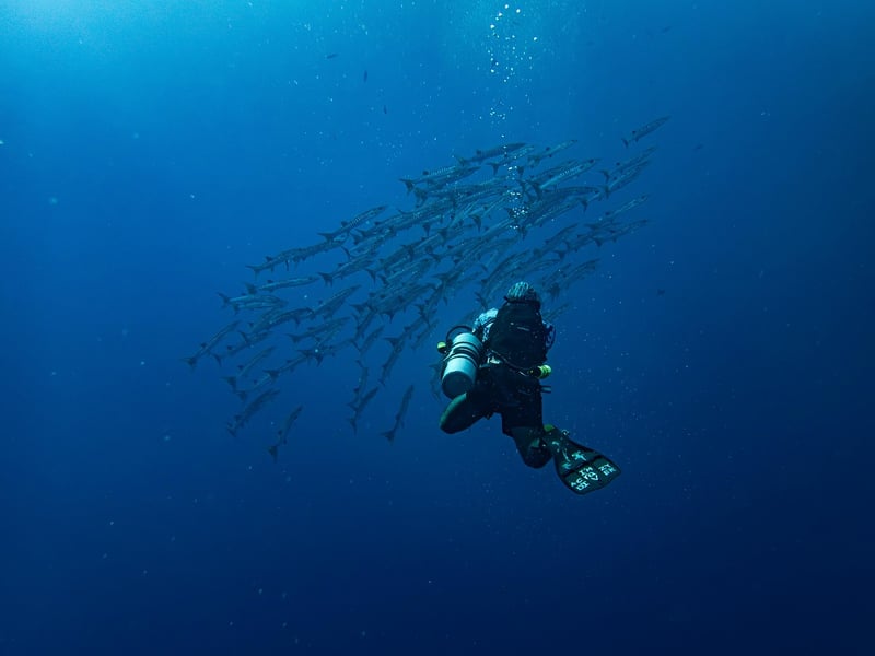 Snorkeling in Crystal Clear Waters
